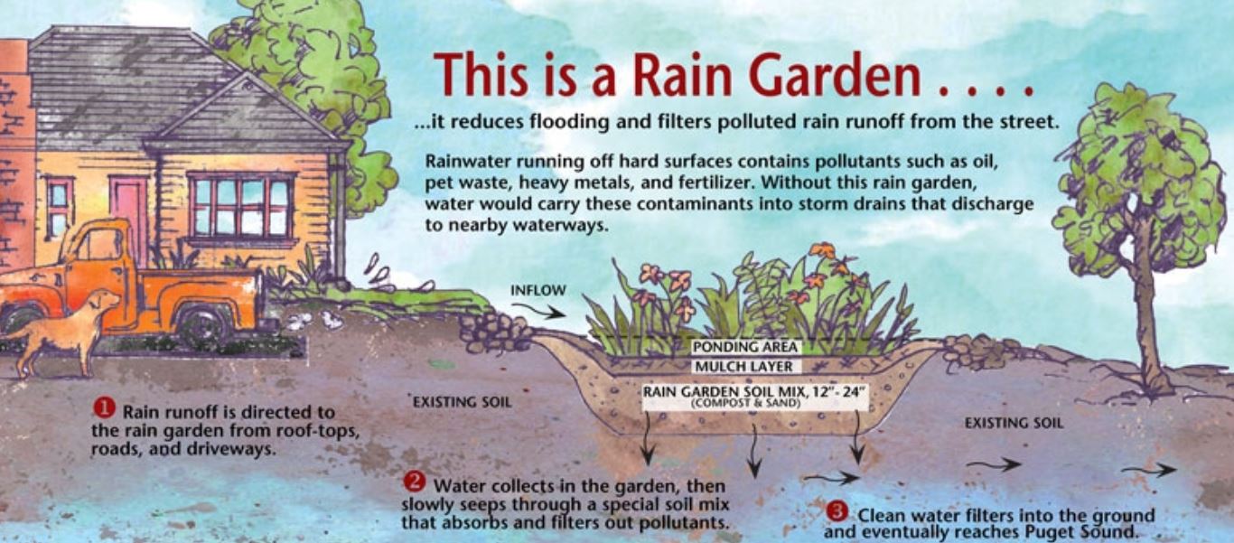 A Rain Garden is one way to control stormwater runoff/pollution.