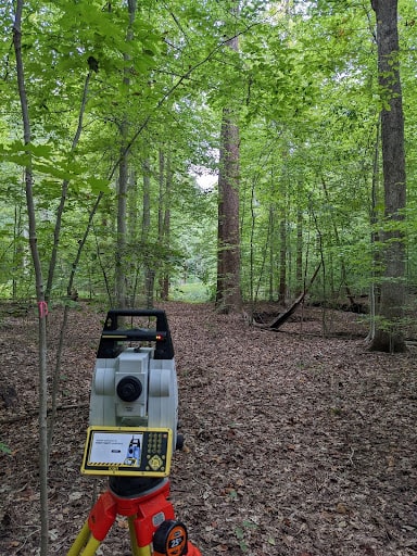 forest topographic survey