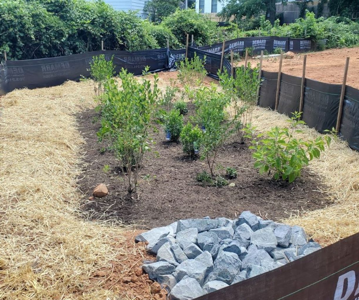 Bioretention-Detention Rain Garden for Stormwater Management